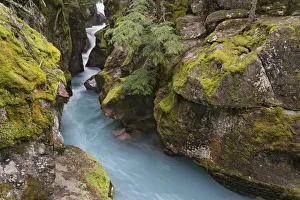 Images Dated 14th January 2022: USA, Montana, Glacier National Park. Glacial silt in Avalanche Creek flows through gorge