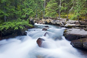 Images Dated 29th July 2009: USA, Montana, Glacier National Park, Avalanche Creek