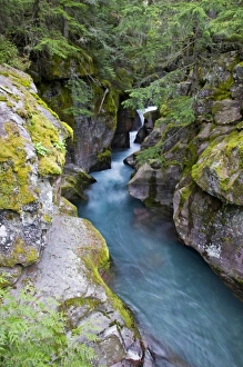 Images Dated 29th July 2009: USA, Montana, Glacier National Park, Avalanche Creek