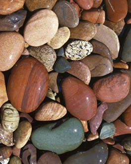 Pebble Prints: USA, Montana, Lolo National Forest, Clark Fork River, Stones