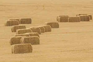 Images Dated 26th August 2018: Usa, Montana, near Drummond. Bales of hay in a field that has just been harvested