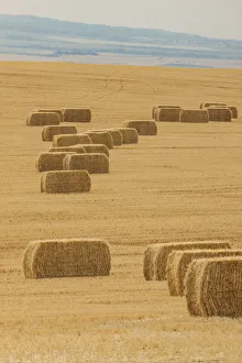 Images Dated 26th August 2018: USA, Montana, near Drummond. Bales of hay in a field that has just been harvested