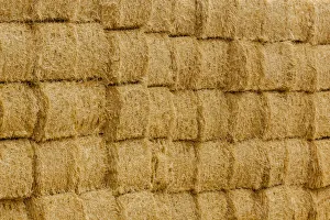 Images Dated 26th August 2018: USA, Montana, near Drummond. Bales of hay in a field that has just been harvested