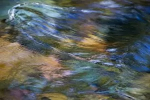 USA, Montana. Underwater rock colors and water patterns in the Rattlesnake Wilderness
