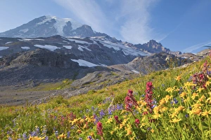 Images Dated 19th August 2009: USA, Mt. Rainier National Park