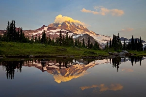USA, Mt. Rainier National Park, Washington. Mt. Rainier reflected in tarn at Spray Park