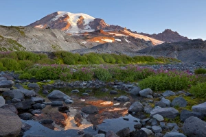 Images Dated 2nd September 2009: USA, Mt. Rainier National Park