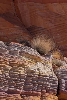 Nevada Prints: USA, Nevada. Abstract lines in the sandstone, Valley of Fire State Park