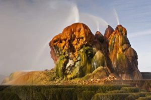 Images Dated 15th February 2010: USA, Nevada, Black Rock Desert. View of the Fly Geyser