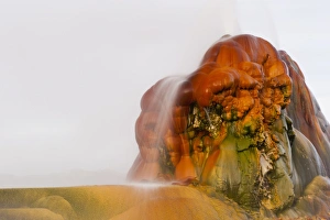 Images Dated 15th February 2010: USA, Nevada, Black Rock Desert. View of the Fly Geyser