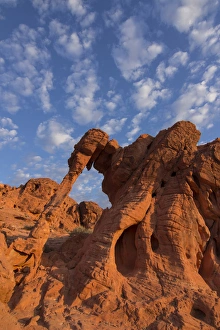 Images Dated 8th September 2012: USA, Nevada, Clark County. Valley of Fire State Park. Elephant Rock