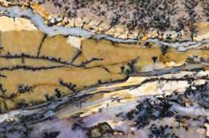 Images Dated 17th September 2009: USA, Nevada. Close-up of amethyst sage agate