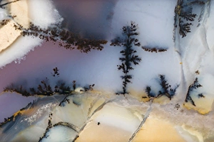 Images Dated 17th September 2009: USA, Nevada. Close-up of amethyst sage agate