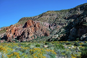 Ghost Town Prints: USA, Nevada, Elgin. Rainbow Canyon