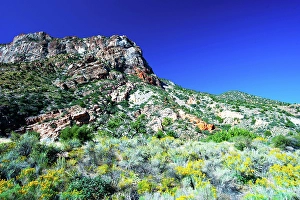 Nevada Prints: USA, Nevada, Elgin. Rainbow Canyon