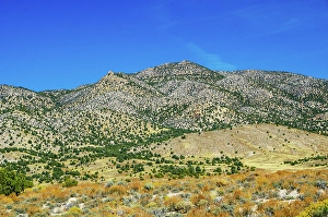 Nevada Prints: USA, Nevada, Ely. White Pine Mountains