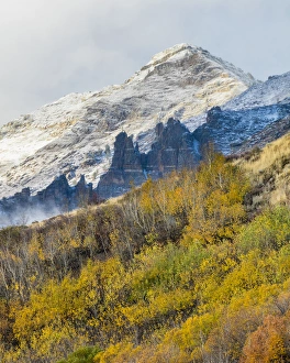 Foggy Prints: USA, Nevada, Humbolt National Forest. Foggy mountain and forest