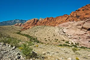 Images Dated 1st October 2017: USA, Nevada, Las Vegas, Red Rock National Conservation Area, Calico Hills South Overlook
