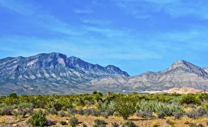 Images Dated 1st October 2017: USA, Nevada, Las Vegas, Red Rock National Conservation Area, Red Rock Wash Overlook