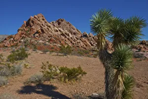 Images Dated 25th September 2017: USA, Nevada, Mesquite. Gold Butte National Monument, Blackhawk Road vista