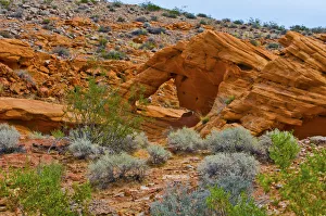 Images Dated 26th September 2017: USA, Nevada, Mesquite. Gold Butte National Monument, Little Finland red rock sculptures