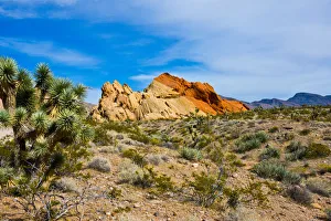 Images Dated 26th September 2017: USA, Nevada, Mesquite. Gold Butte National Monument, Whitney Pocket