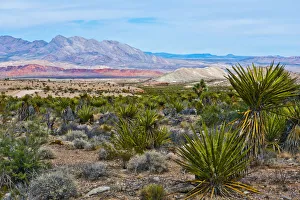 USA, Nevada, Mesquite. Gold Butte National Monument, Million Hills from Gold Butte Road