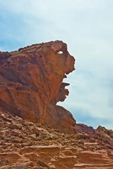 USA, Nevada. Mesquite. Gold Butte National Monument, Little Finland Red Rock Sculptures