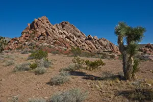 Images Dated 25th September 2017: USA, Nevada. Mesquite. Gold Butte National Monument, Blackhawk Road vista