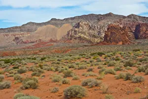 USA, Nevada. Mesquite. Gold Butte National Monument, Mud Road vista