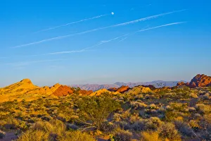 USA, Nevada. Overton, Valley of Fire State Park, First Nevada Park, Fire Canyon Silica