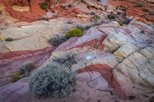 Images Dated 2nd July 2019: USA, Nevada, Overton, Valley of Fire State Park. Multi-colored rock formations. Credit as