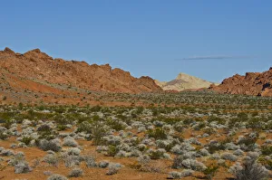 Highway Prints: USA, Nevada. Valley of Fire State Park Highway Views