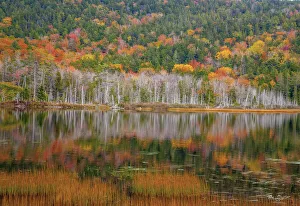 USA, New England, Maine, Mt. Desert Island, Acadia National Park with small lake with