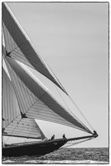 Images Dated 2nd May 2019: USA, New England, Massachusetts, Cape Ann, Gloucester, Gloucester Schooner Festival