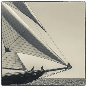 USA, New England, Massachusetts, Cape Ann, Gloucester, Gloucester Schooner Festival