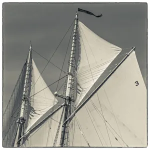 Images Dated 2nd May 2019: USA, New England, Massachusetts, Cape Ann, Gloucester, Gloucester Schooner Festival