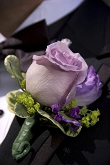 USA, New England, Massachusetts, Boston, Grooms boutonniere, rose, lavender