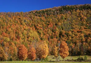 Images Dated 10th June 2021: USA, New England, Vermont