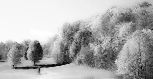 Images Dated 16th September 2021: USA, New England, Vermont