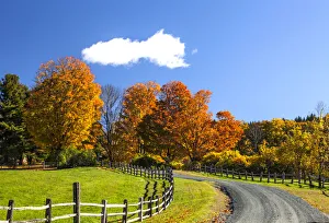 Images Dated 10th June 2021: USA, New England, Vermont countryside with curved gravel road fence in Autumn