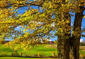 Images Dated 2021 April: USA, New England, Vermont red barn in the countryside with Fall colors