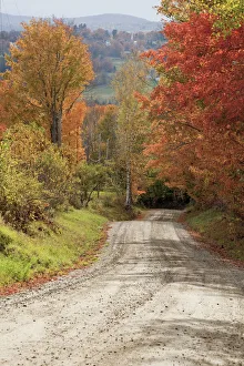 Images Dated 5th October 2013: USA, New England, Vermont tree-lined roadway in Autumns Fall colors