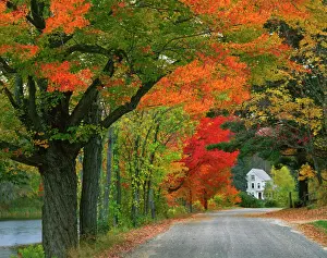 Neighborhood Prints: USA, New Hampshire, Andover. Road lined in fall color and traditional New England home