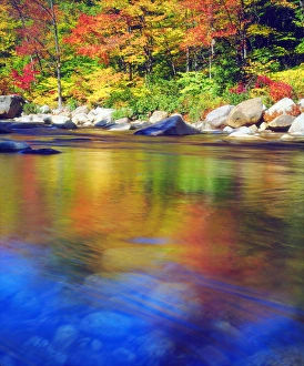 High Prints: USA, New Hampshire, Autumn colors reflecting in the Swift River