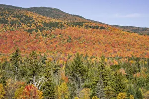 Images Dated 18th October 2021: USA, New Hampshire, fall foliage