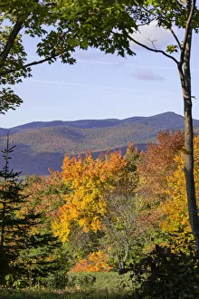 New Hampshire Prints: USA, New Hampshire, fall foliage Lancaster on Gore Road