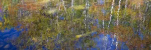 Gorham Prints: USA, New Hampshire, Gorham Autumn colors reflected in small pond