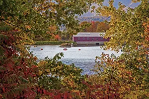 Beech Prints: USA, New Hampshire, Gorham, Fall colored trees framing Androscoggin River near damn site
