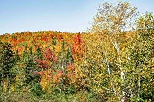 Kayak Prints: USA, New Hampshire. Mount Washington
